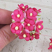 Small Bright Pink Mulberry Blossoms