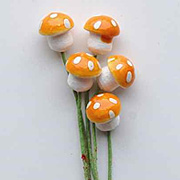 Mushrooms - Orange*