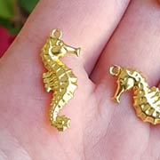 Double-Sided Raw Brass Seahorse Charms