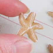 Mini Resin Starfish - Tan